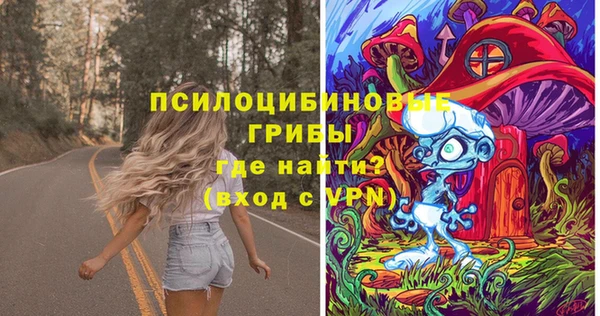 PSILOCYBIN Алексеевка
