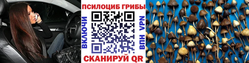 Галлюциногенные грибы прущие грибы  Нерехта 